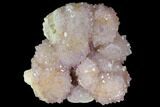 Cactus Quartz (Amethyst) Crystal Cluster - South Africa #132503-1